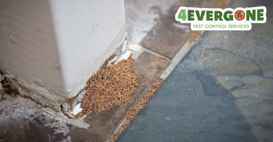 Termite droppings at an outside banister